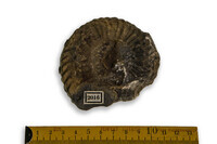 F 02016
<br/>
<br/>
<em></em>